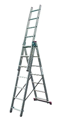 5385259
