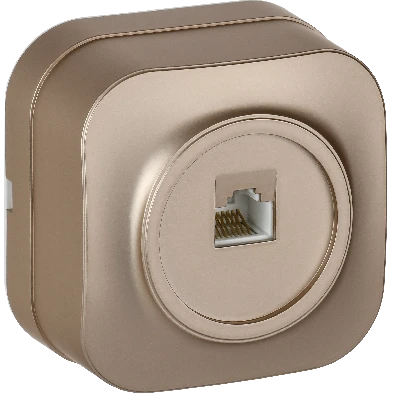 GLORY Розетка для открытой установки компьютерная RJ45 кат.5E РК10-ХШм шампань матовый IEK