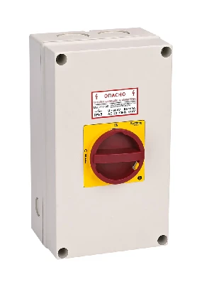 ГЛАВНЫЙ/АВАРИЙНЫЙ ВЫКЛЮЧАТЕЛЬ-РАЗЪЕДИНИТЕЛЬ 3P 80A ЗАКРЫТОГО ИСПОЛНЕНИЯ IP65