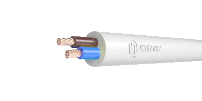 Провод ПВСнг(А)-LS 2х10 ТРТС