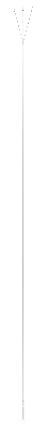 2396501