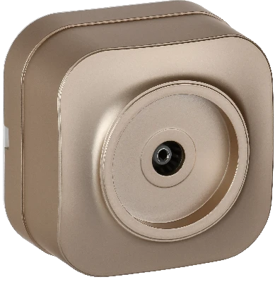 GLORY Розетка для открытой установки TV РТВ20-ХШм шампань матовый IEK