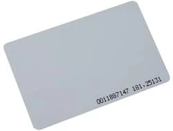 1248019