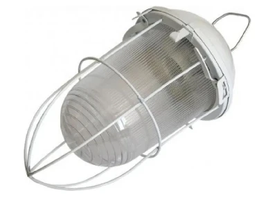 Светильник НСП-02-100-003 с решеткой окрашенный IP52