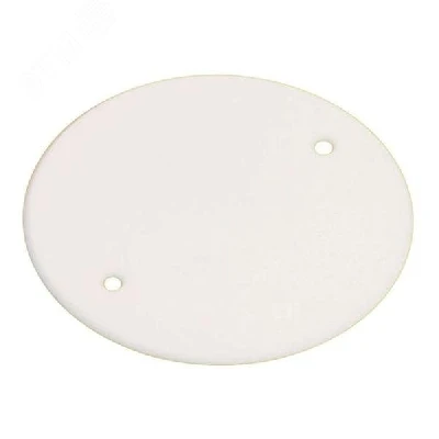 Крышка универсальная КМТ-100-015 D68 полипропилен белая PROxima