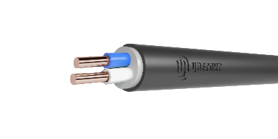 Кабель силовой ВВГнг(А)-LS 2х4ок(N)-0,66 ТРТС