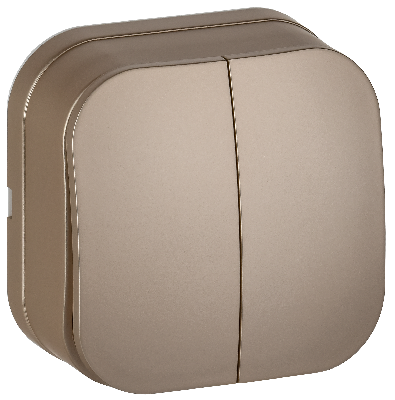 GLORY Выключатель 2-клавишный для открытой установки 10А ВС20-2-0-ХШм шампань матовый IEK