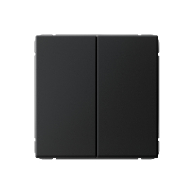 ARTGALLERY 2-клавишный выключатель кнопочный, сх.2, 10А, механизм, карбон