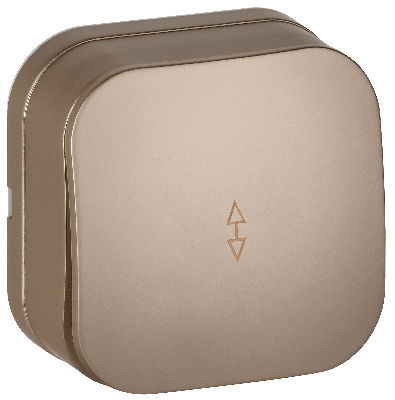 GLORY Выключатель 1-клавишный для открытой установки проходной 10А ВСп10-1-0-ХШм шампань матовый IEK