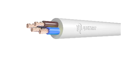Провод ПВС 4х4 ТРТС